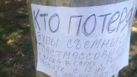 Найдены зубы, ищем хозяина