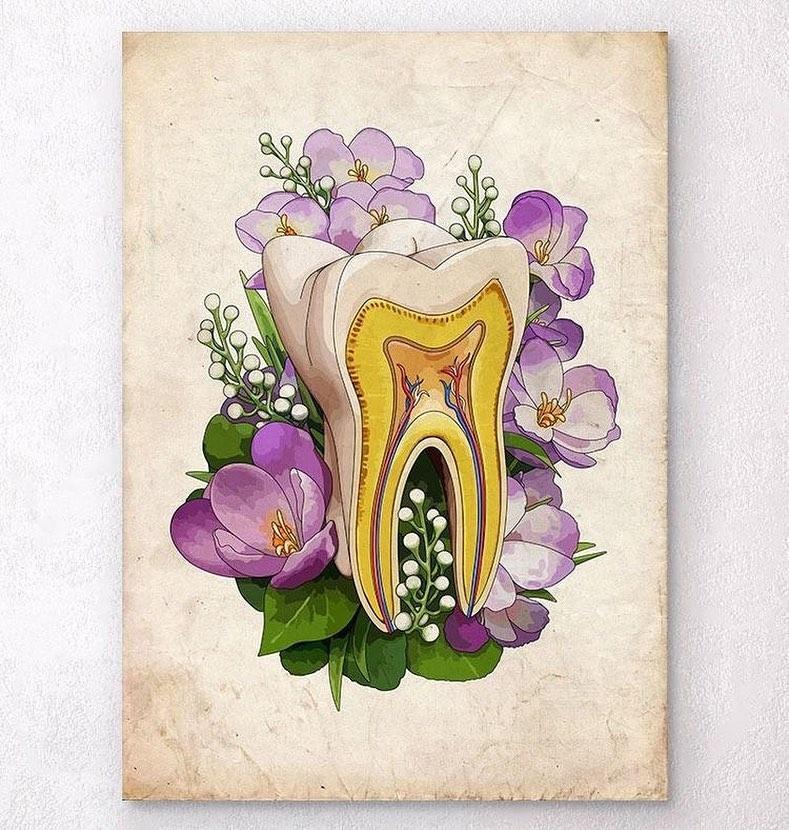 Зубы - цветы жизни