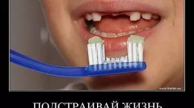 Подстраивай жизнь