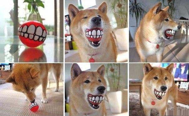 Мячик в дизайне зубов для собаки