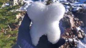 Зуб из снега 9