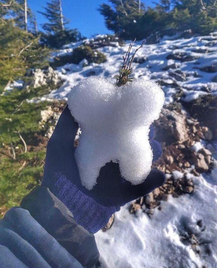 Зуб из снега 9