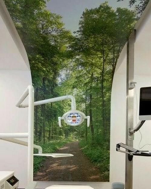 Стоматологический кабинет посреди лесной тропинки