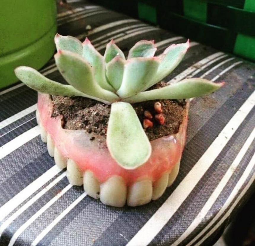 Зубной горшок для цветка