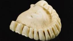 Верхний зубной протез из слоновой кости (1760г.)