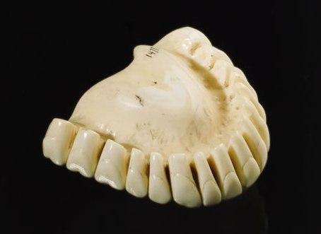 Верхний зубной протез из слоновой кости (1760г.)