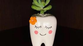 Горшок-зуб для цветка 5