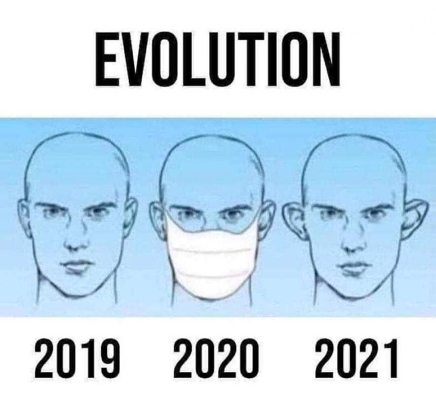 Эволюция ушей