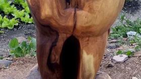 Зуб из дерева