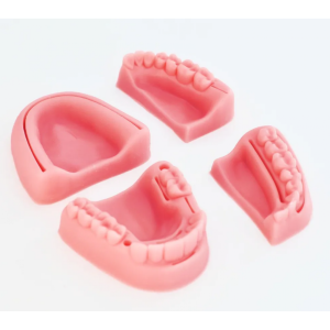 Типодонт Учебный силиконовый модуль зубных протезов для отработки наложения швов - Модели для практики (муляжи, тренажеры) (фото 1)