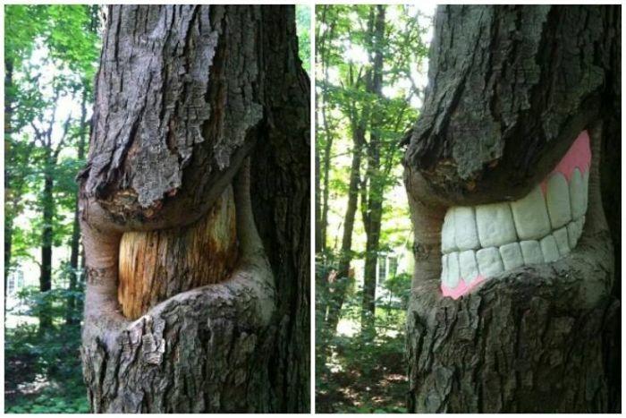 Дерево и стоматолог