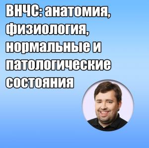 Видеозапись. Юрий Калинин - ВНЧС: анатомия, физиология, нормальные и патологические состояния - Книги по ортопедической стоматологии (фото 1)