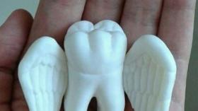Зуб - ангел