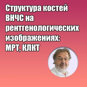 Видеозапись. Грегор Славичек - Структура костей ВНЧС на рентгенологических изображениях: МРТ, КЛКТ - Книги по хирургической стоматологии (фото 1)