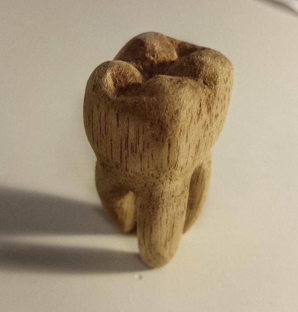 Зуб из дерева 2