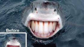 Акула после посещения стоматолога
