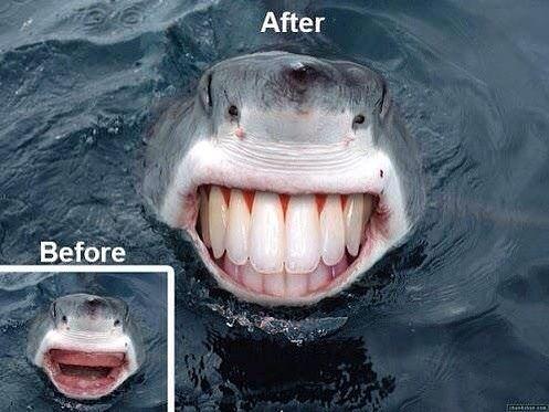 Акула после посещения стоматолога