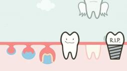 Жизнь зуба