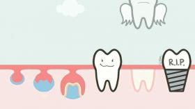 Жизнь зуба