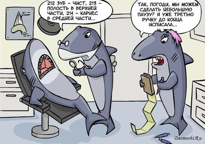 Акула на приеме у стоматолога