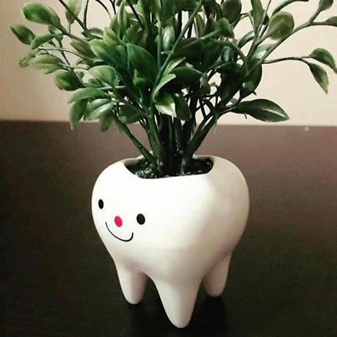 Горшок-зуб для цветка 3
