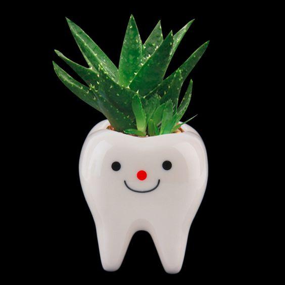 Горшок-зуб для цветка 4