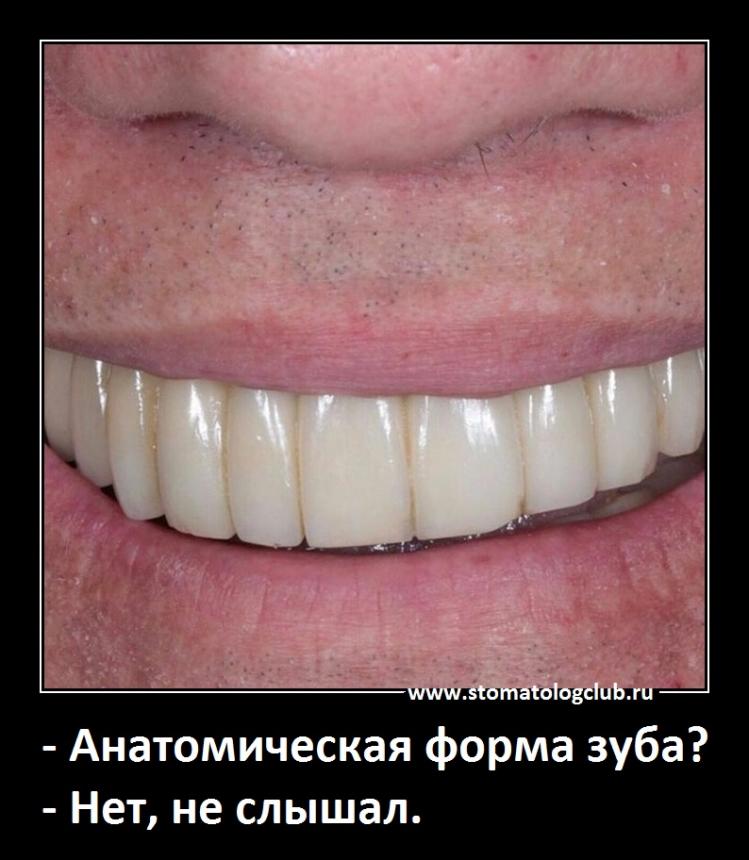 Анатомическая форма зуба