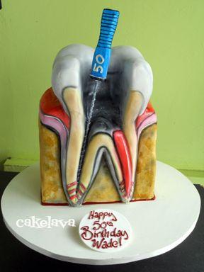 Торт эндодонтиста 2