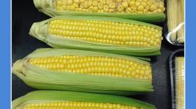 А какой початок кукурузы ты увидел вначале?