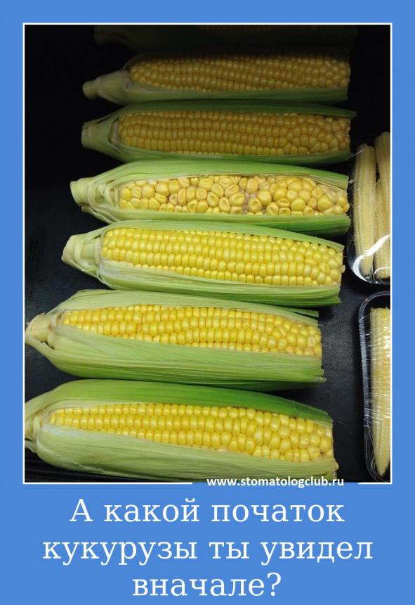 А какой початок кукурузы ты увидел вначале?