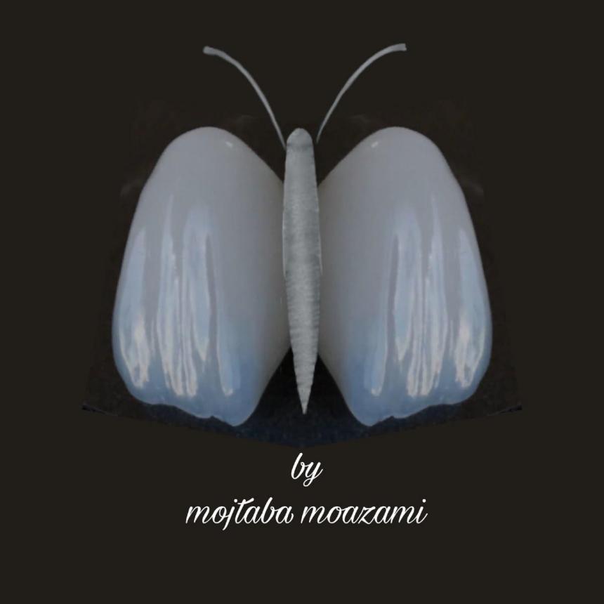 Зубной мотылек