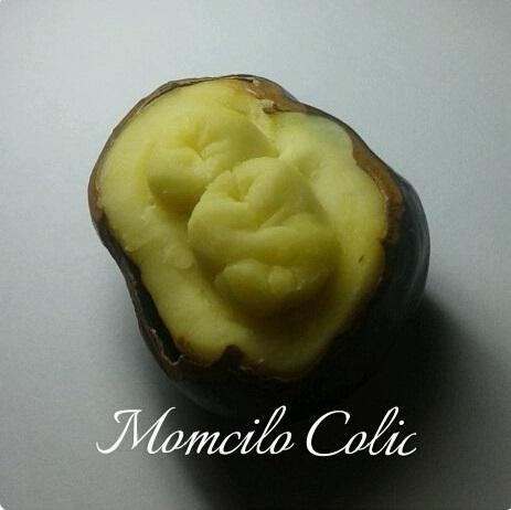 Карвинг на каштане