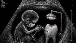 Будущий стоматолог