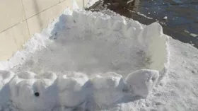 Снежные зубы