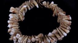 Ожерелье из человеческих зубов
