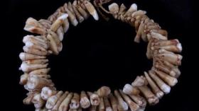 Ожерелье из человеческих зубов