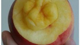 Зуб из яблока 6