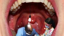 Эргономика в работе врача-стоматолога