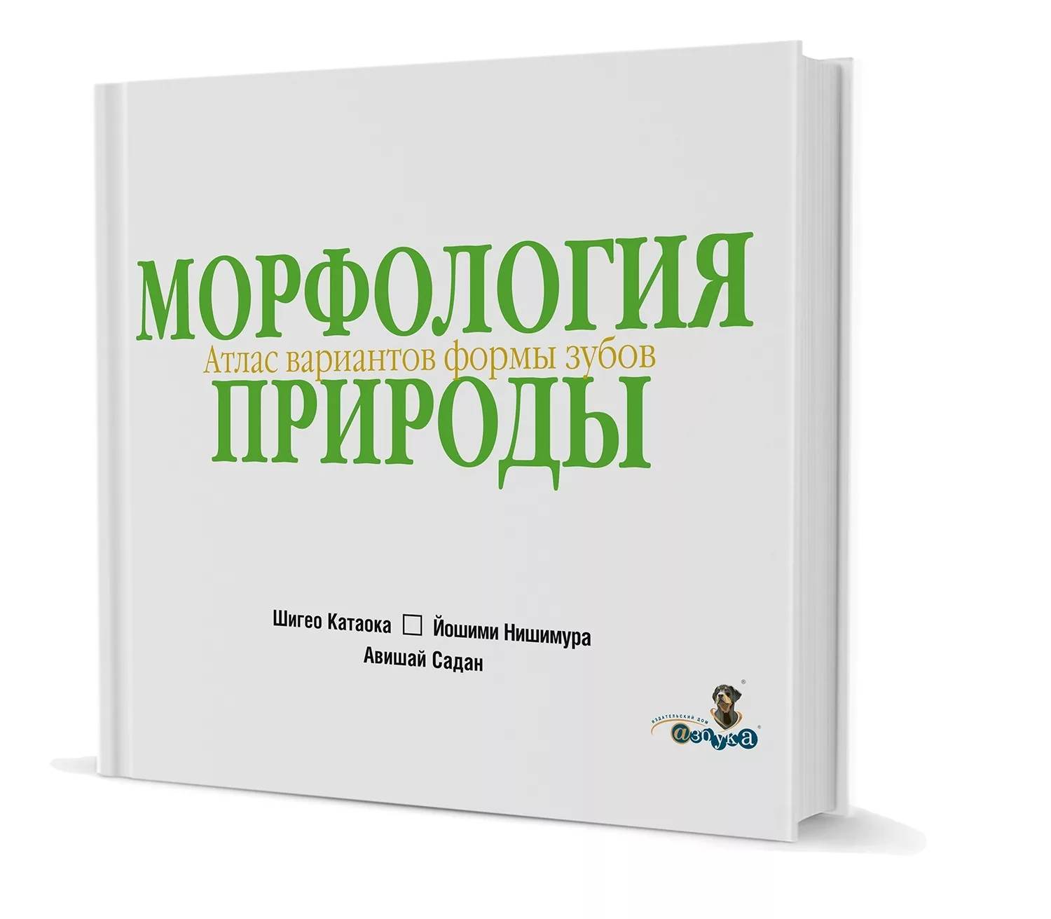 Атлас природы. Морфология природы Шигео Катаока. Морфология природы атлас. Атлас вариантов формы зубов. Морфология природы атлас вариантов формы зубов Шигео.