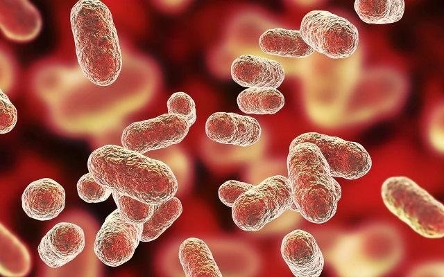 Доказательства связи между микробиомом полости рта и раком