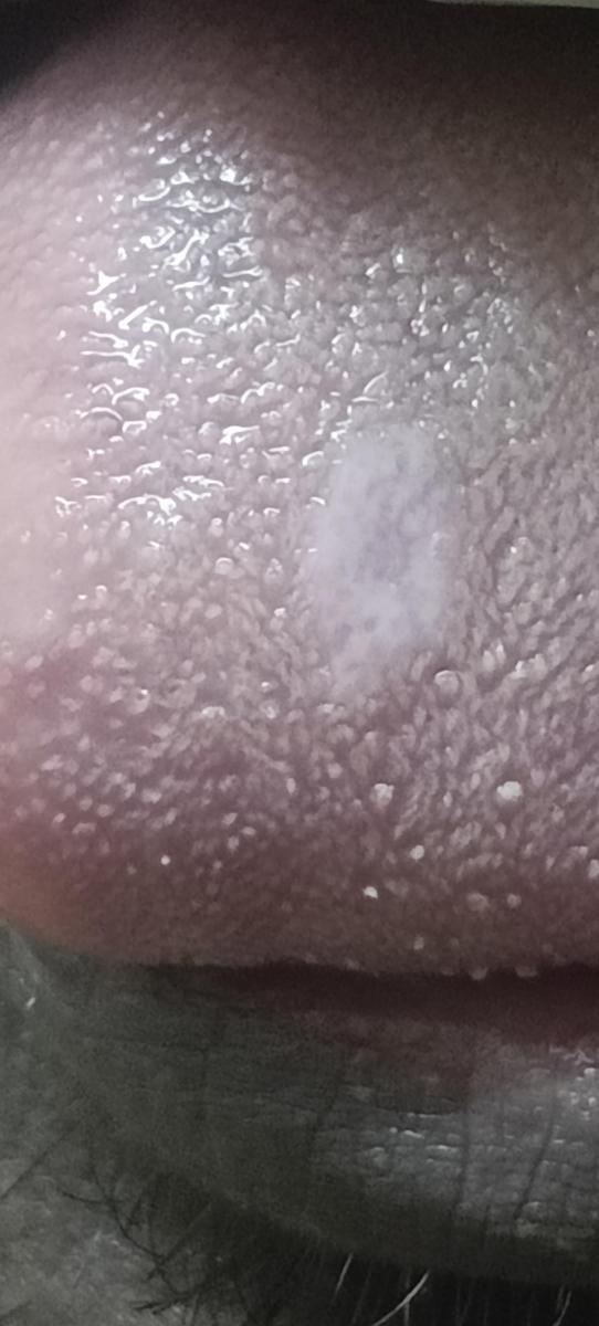d6e32f136c2fc7264df9a306e3bc.jpg