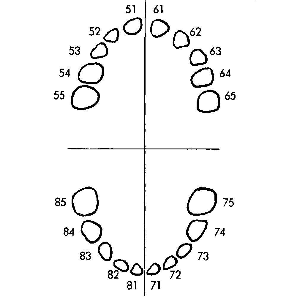 frasaco-am-5-z