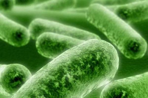Микробы полости рта проявляют бактериальную устойчивость к обычным антисептикам