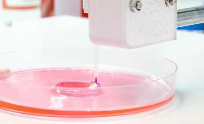 Революция 3D-биопечати в области регенерации тканей