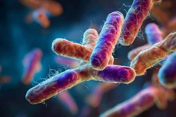 Рассеянный склероз связан со специфическим микробиомом полости рта