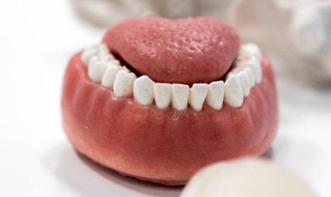 Более реалистичные модели ротовой полости для обучения стоматологов