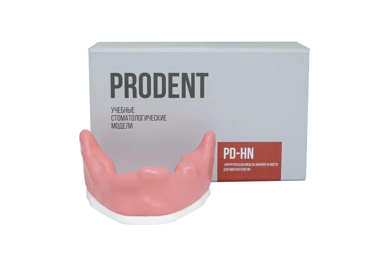 Купить Prodent PD-HN Модель беззубой нижней челюсти для хирургии по ...