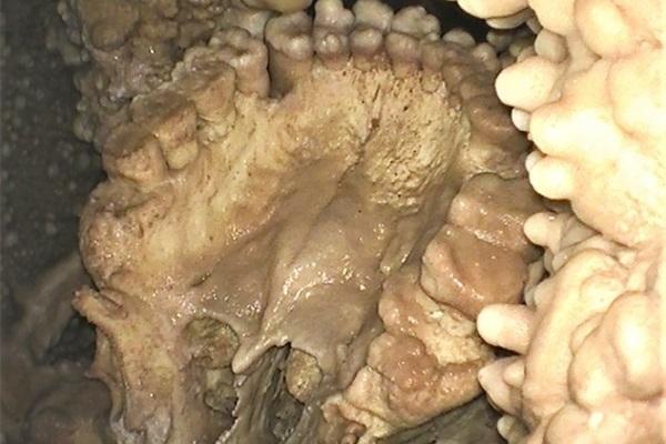 На юге Италии нашли останки древнего человека с хорошо сохранившимся набором зубов
