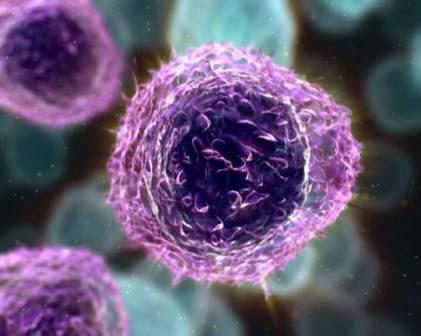 Продукты жизнедеятельности бактерий ротовой полости способны активировать спящие т-клетки и вирусы иммунодефицита человека