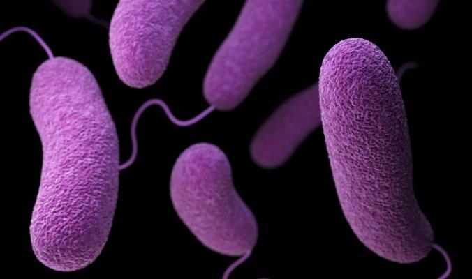 Иногда полезные бактерии полости рта убивают